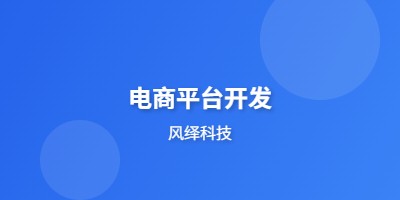 电商平台开发